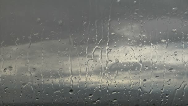 Deště zakryté okno — Stock video