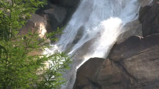 Precipitándose cascada en el bosque — Vídeos de Stock