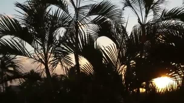 Malerische Cancun Sonnenuntergang Pfanne — Stockvideo