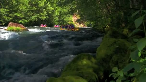 Balseros rápidos del río — Vídeo de stock