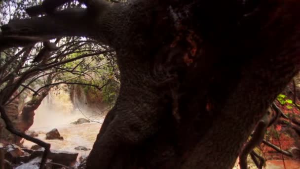 Ufer mit reißendem Fluss und Wasserfall — Stockvideo