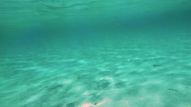 Slow-motion shot van de waterkolom van de kalme zee — Stockvideo
