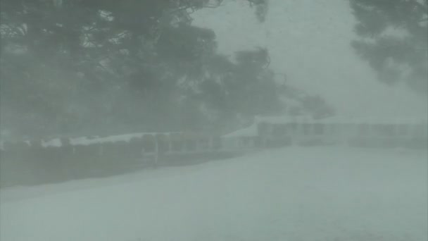 Sněhem pokryté zdi v sněhové bouři — Stock video
