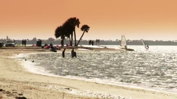 태양 빛 해변 장면 — 비디오