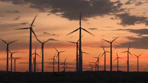 Zonsondergang windmolen veld timelapse — Stockvideo