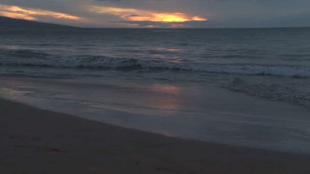 Хвилі на гавайському пляжі — стокове відео