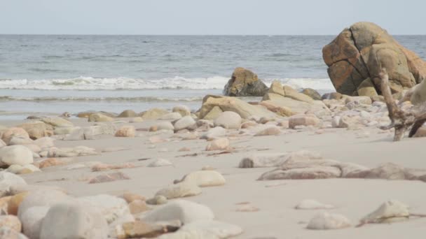 Vågor som rullar in på steniga nova scotia sandstrand — Stockvideo