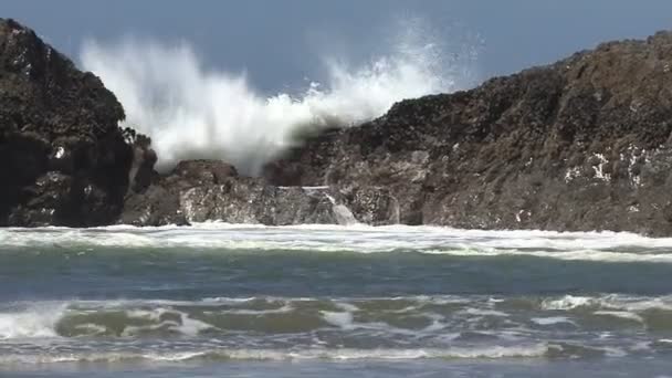 Waves splashing over oregon coast rocks — Stock Video