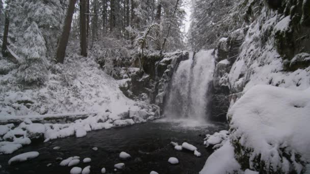 Tiro branco de cachoeira na floresta nevada — Vídeo de Stock