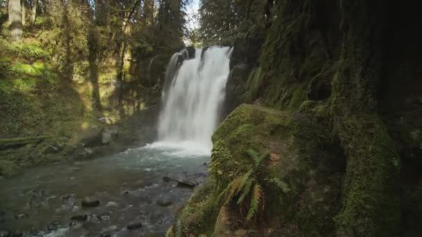Время водопада в Йосемитском национальном парке — стоковое видео