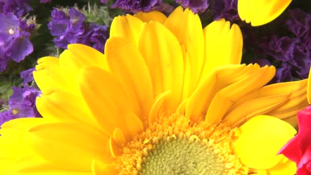 Zoomed in rotating bright flower bouquet — Stock Video