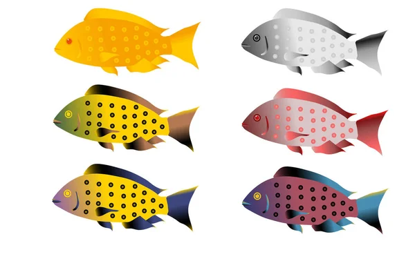 Een set van zes bonte, kleurrijke, lichte vis. Vectorillustratie. — Stockvector