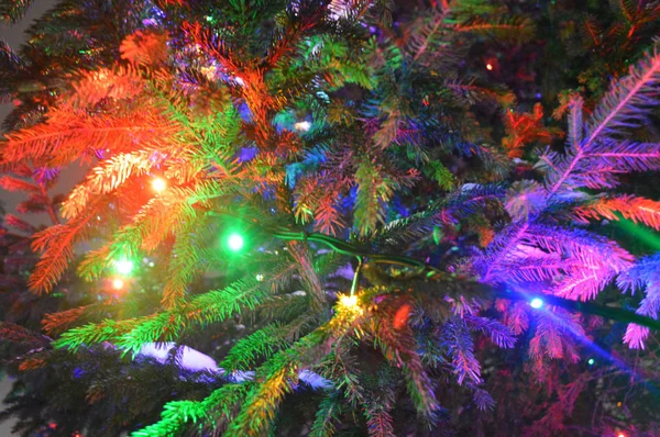 色とりどり 明るい モトリー クリスマス ツリーのブランチを輝く — ストック写真