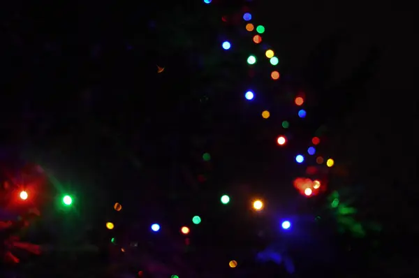 Mehrfarbig Hell Kunterbunt Leuchtender Zweig Eines Weihnachtsbaums Mit Girlanden Mit — Stockfoto