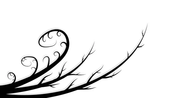 Черные Абстрактные Красивые Ветви Стебли Линии Тенями Белом Фоне Место — стоковый вектор