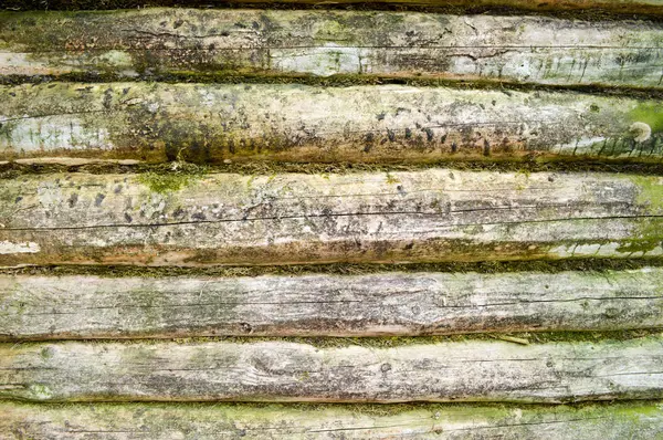 Texture Ancien Mur Boisé Rondins Jetés Par Mousse Verte Une — Photo