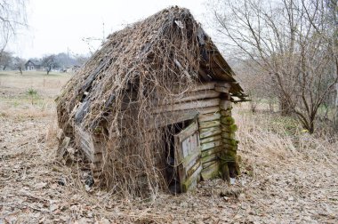 Bir eski, harap küçük ahşap terk edilmiş yıkık hışırtı kırık evde kirişler, günlüğe kaydeder ve sonbaharda yoğun bir orman içinde açık bir kapı ile vahşi doğada moss ve bitkiler ile büyümüş sopa.