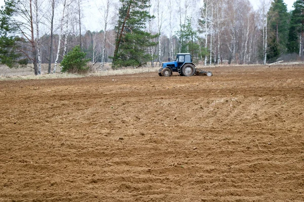 Een Blauwe Kleine Trekker Agrimotor Plows Het Veld Zeugen Gewassen — Stockfoto