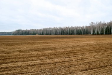 Peyzaj alanları, orman ve mavi gökyüzü arka plan bitkileri ile çiftçilik için yataklar ile toprakları.