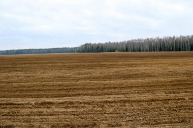 Peyzaj alanları, yatak toprakları, gozlerime orman ve mavi gökyüzü arka plan bitkileri ile çiftçilik için.