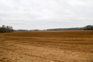 Manzara alan, yataklar, kahverengi toprakla çiftçilik için bahar aylarında tahıl orman ve mavi gökyüzü arka plan üzerinde Ekim gozlerime.