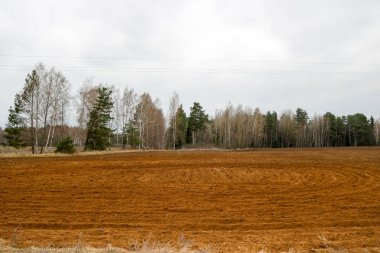 Peyzaj alanları, yatak toprakları, gozlerime orman ve mavi gökyüzü arka plan bitkileri ile çiftçilik için.
