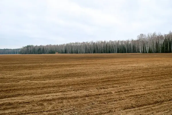 Peyzaj alanları, orman ve mavi gökyüzü arka plan bitkileri ile çiftçilik için yataklar ile toprakları.