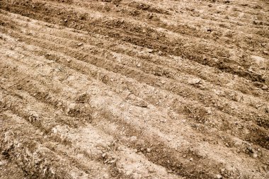 Kahverengi doku yataklar, kum zemin ile kuru zemin kazılıp