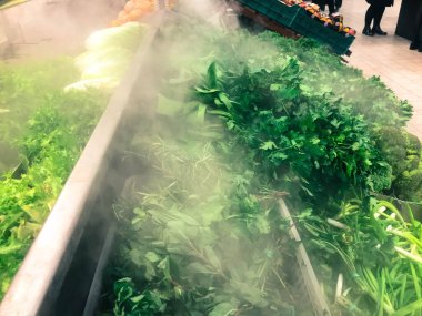 Çevre dostu yeşil yeşil maydanoz bitkileri dereotu salatası roka soğanı ve diğer bitki gıdaları tezgahın üzerindeki süpermarketteki modern bir buzdolabında bulunur. Arkaplan