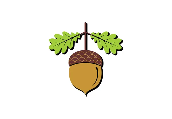 Acorn pictogram. vectorillustratie — Stockvector