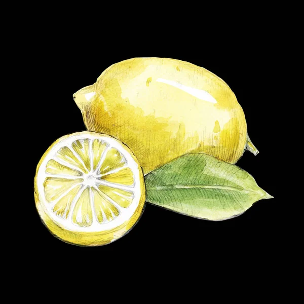 Лимонний ілюстрація — стокове фото