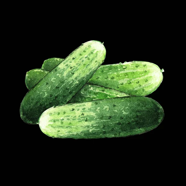 Cucumber Watercolor Illustration Black Background — 스톡 사진