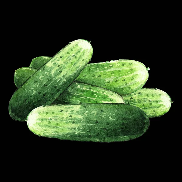 Cucumber Watercolor Illustration Black Background — 스톡 사진