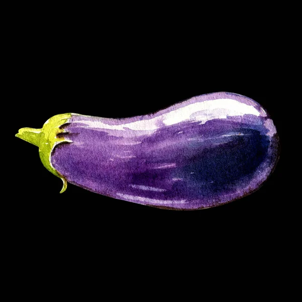 Eggplant Watercolor Illustration Black Background — 스톡 사진