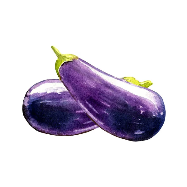 Eggplant Watercolor Illustration White Background — 스톡 사진