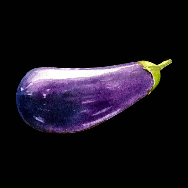 Eggplant Watercolor Illustration Black Background — 图库照片