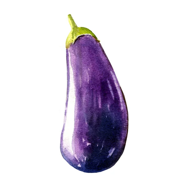 Eggplant Watercolor Illustration White Background — 스톡 사진