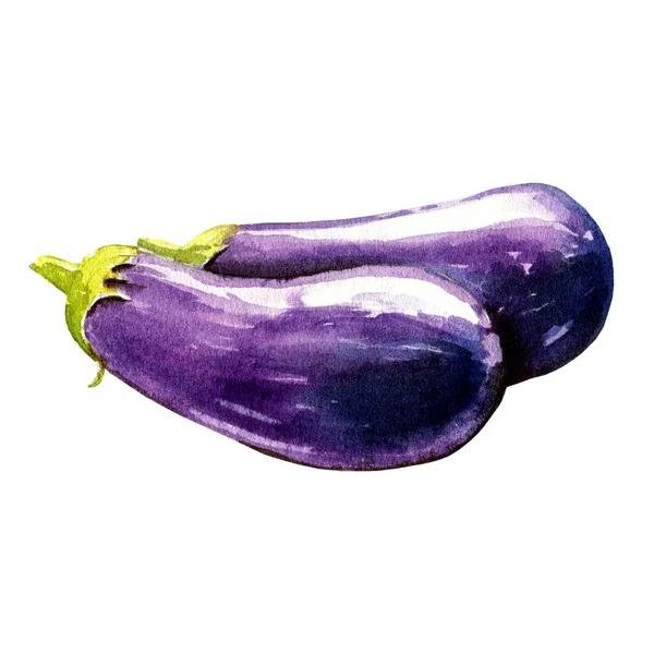 Eggplant Watercolor Illustration White Background — 스톡 사진