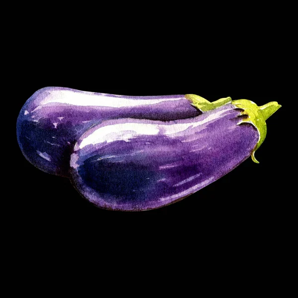 Eggplant Watercolor Illustration Black Background — 图库照片
