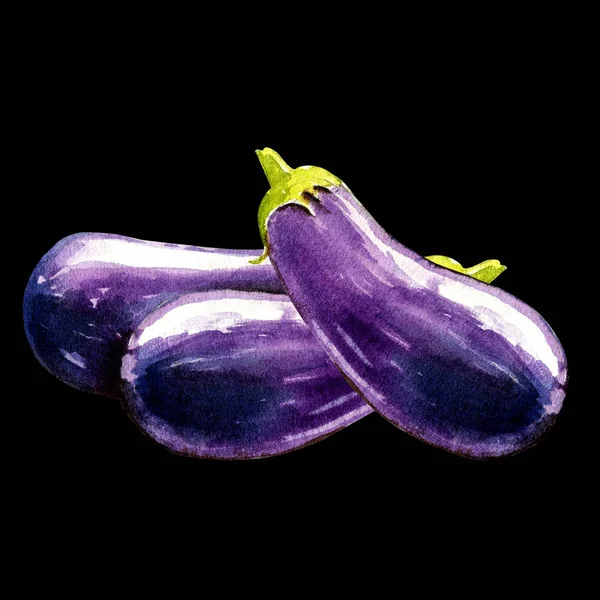 Eggplant Watercolor Illustration Black Background — 图库照片