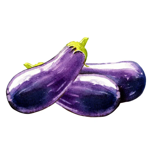 Eggplant Watercolor Illustration White Background — 스톡 사진