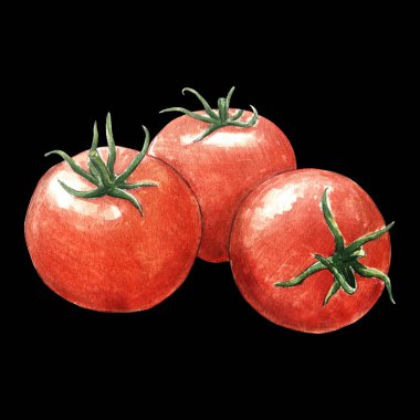 Siyah arkaplanda domates suluboya çizimi