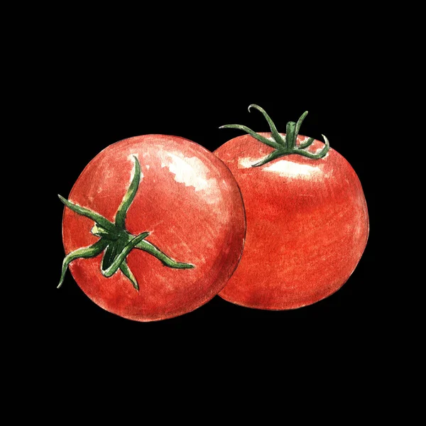 Tomato Watercolor Illustration Black Background — Stock Photo, Image