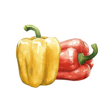 Beyaz arkaplanda kırmızı çan tatlı biber suluboya çizimi