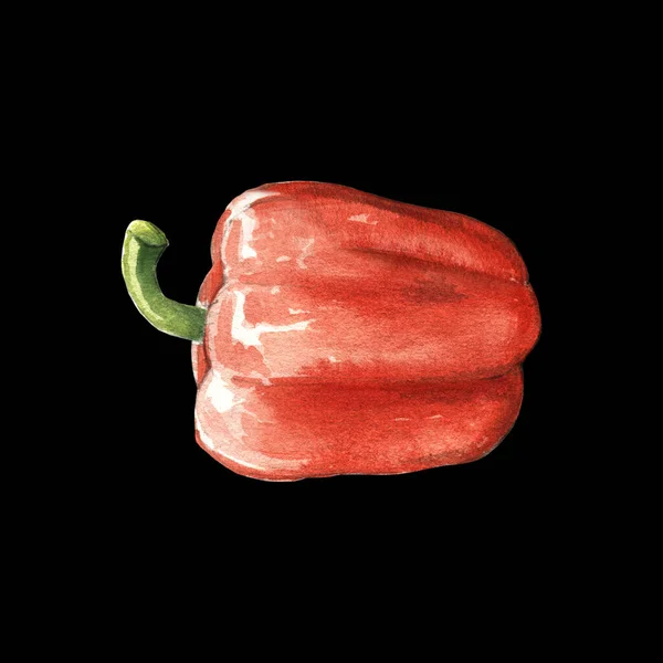 Red Bell Pepper Watercolor Illustration Black Background — Stock Photo, Image