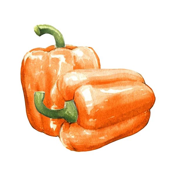 Orange Bell Pepper Watercolor Illustration White Background — Stock Photo, Image