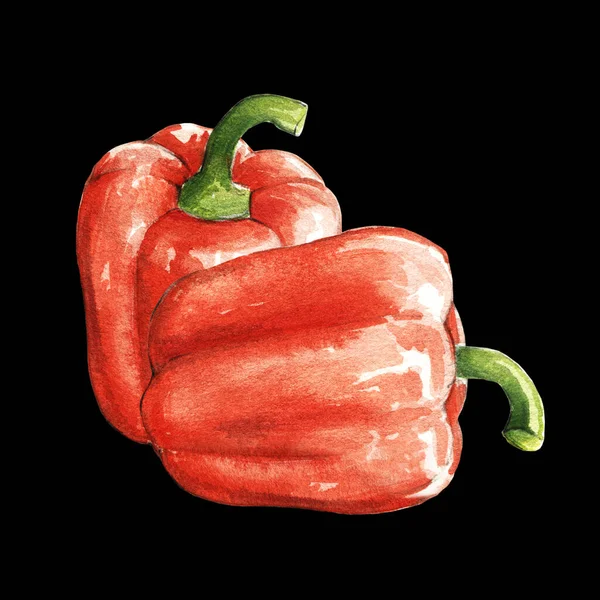 Röd Bell Pepper Akvarell Illustration Svart Bakgrund — Stockfoto