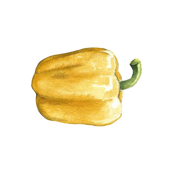 Żółty Papryka Akwarela Ilustracja Białym Tle — Zdjęcie stockowe