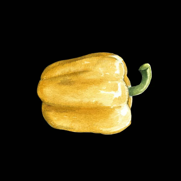 Κίτρινο Bell Pepper Ακουαρέλα Απεικόνιση Μαύρο Φόντο — Φωτογραφία Αρχείου