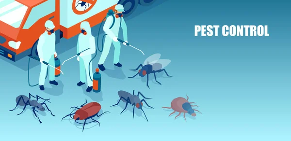 Equipo profesional de control de plagas exterminando insectos — Vector de stock